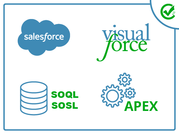 sales force developer course bootcamp