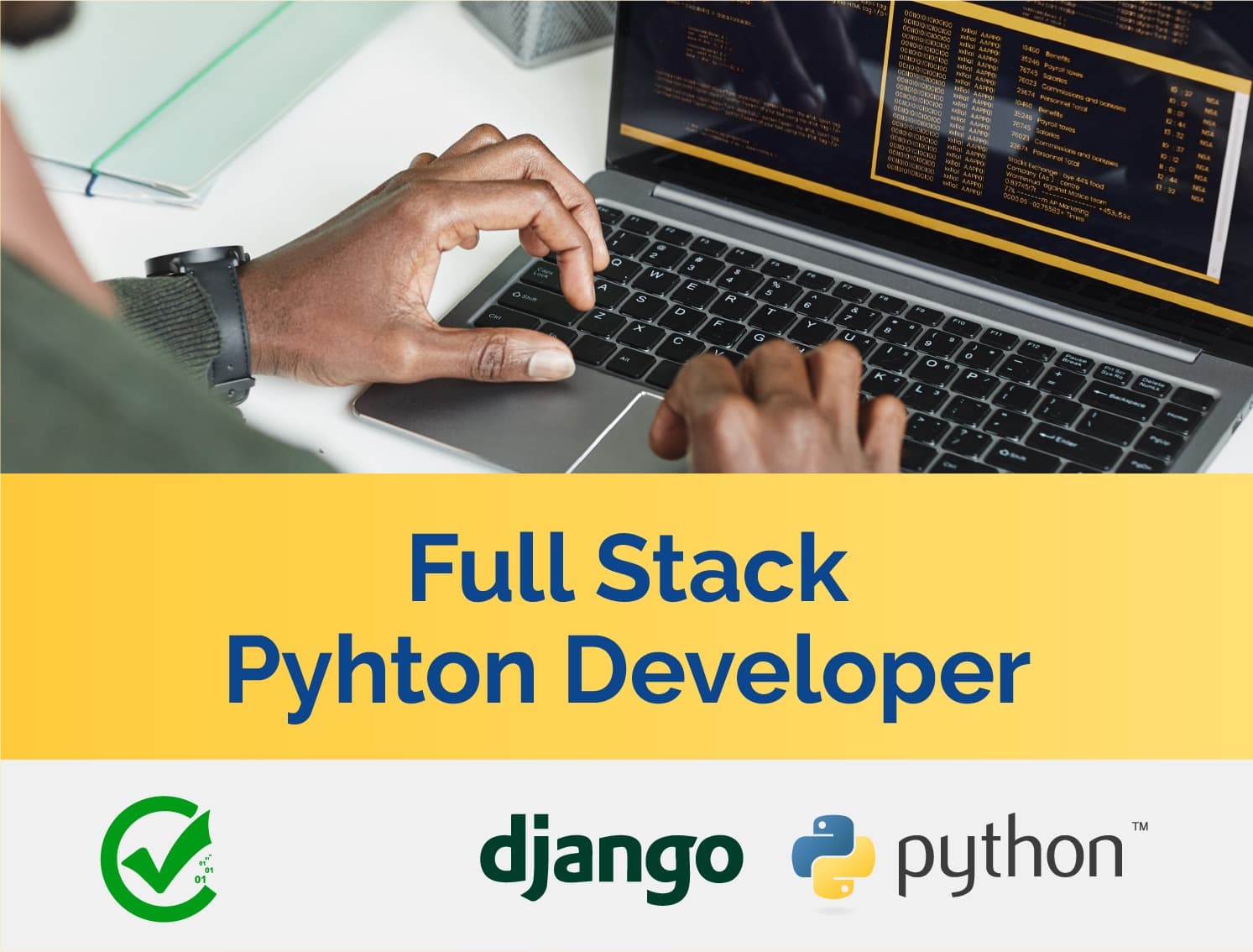 Full-Stack Python Developer