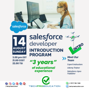 Online IT Course