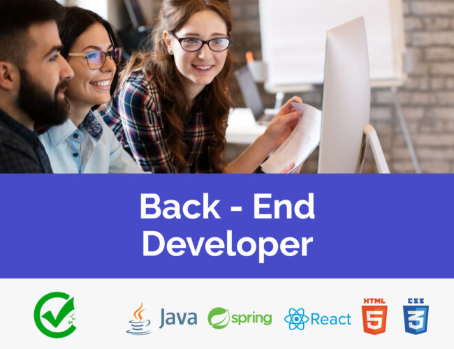 Back-End Developer